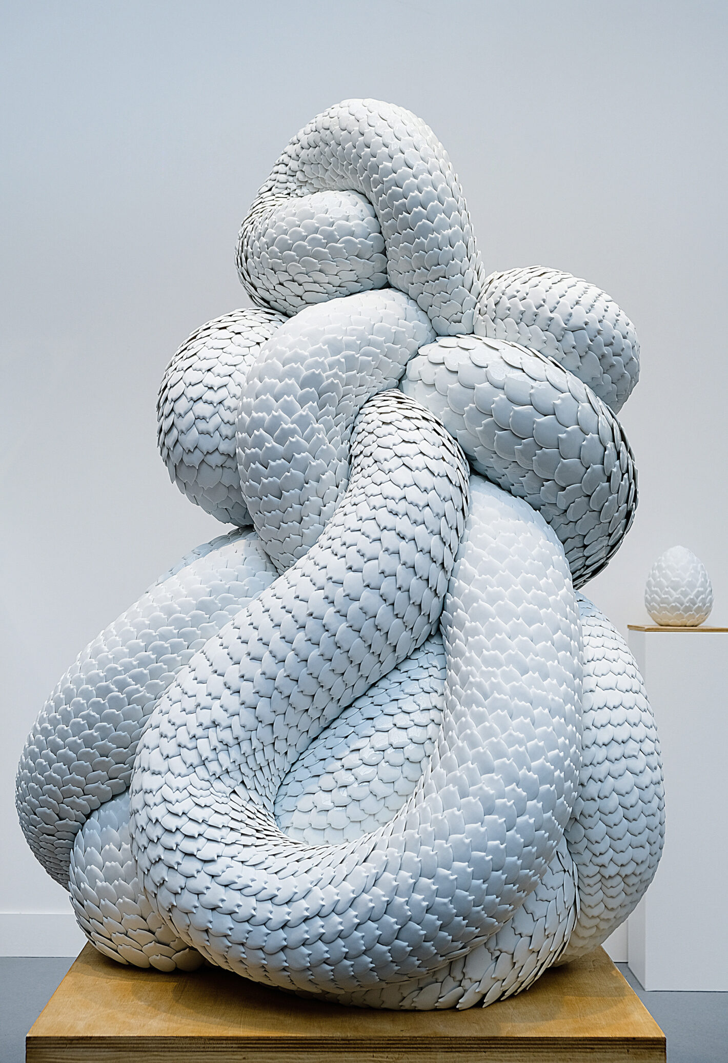 Juliette Clovis Manis Tetradactyla 2019 picture by Juan Lozano courtesy of the artist