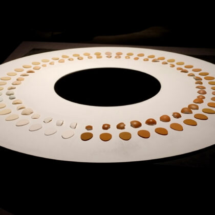 Caroline Cotto Egglipse picture by Biel Garcia Belmonte