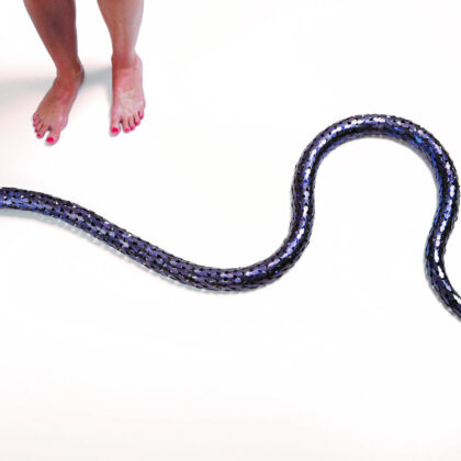 David Bielander Python pic by Dirk Eisel
