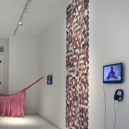Fernando Laposse Totomoxtle c Filip Dujardin