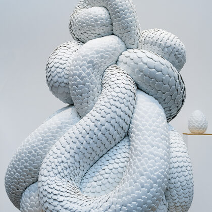 Juliette Clovis Manis Tetradactyla 2019 picture by Juan Lozano courtesy of the artist