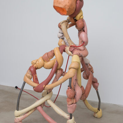 Orta Miklos Sumatra Orangutan Courtesy of artist and Functional Art Gallery Berlin
