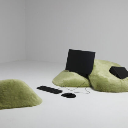 Schimmel Schweikle Pillow Pillow Computer